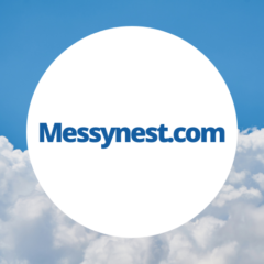 Messynest.com